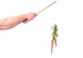 Motivation carrot Royalty Free Stock Photo