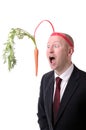 Motivation carrot Royalty Free Stock Photo