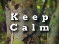 Motivation inspiration quote - keep Calm Royalty Free Stock Photo