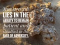 motivation inspiration quote - True strength lies in the ability to remain patient and steadfast in the face of adversity.