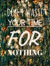 Motivation and inspirational quote.Don`t waste your time for nothing text on abstract wood texturebackground