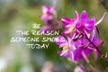 Inspirational quotes - Be the reason someone smiles today. Blurry background