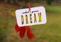 Inspirational quotes - what`s your dream. Blurry background. Royalty Free Stock Photo