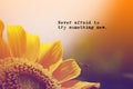 Motivation and positive wording with sunflower background