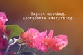 Motivation wording with bougainvilleas flower Royalty Free Stock Photo