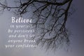 Motivational and inspirational quote on image of black trees and branches.