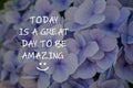Inspirational quotes - Today is a great day to be amazing