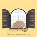 Motivational. Keep calm and enjoy life. Cute cat. Royalty Free Stock Photo