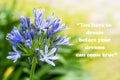 Motivational phrase - You have to dream before your dreams can come true. With a green flower on the side and out of focus nature Royalty Free Stock Photo