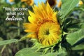 Motivational quote with sunflower blossom - You become what you believe.