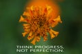 Motivational quote - Think progress, not perfection. With spring and summer background of orange marigold flower blossom top view.