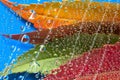 Motley drops of water fall down on red, green, brown and orange fallen leaves against the azure background. Royalty Free Stock Photo