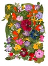 Motley multicolored applique clearing of dried pressed flowers