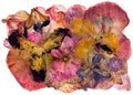 Motley multicolored applique clearing of dried pressed flowers