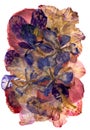 Multicolored applique of dried pressed iris flowers