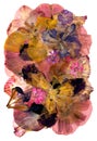 Motley multicolored applique clearing of dried pressed flowers