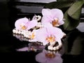 Motley orchid and pearl beads