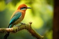 Motmot bird branch. Generate Ai