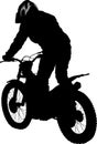 Motobiker Royalty Free Stock Photo