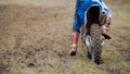 Motocross racer start riding his dirt Cross MX bike - rear view Royalty Free Stock Photo