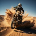 Motocross rider on a desert race, extreme sport, rear view