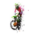 Motocross rider with motorcycle, isolated low poly illustration Royalty Free Stock Photo