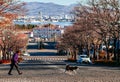 Motomachi slope Street with leafless tree along both sides with people and dog crossing  road. Hakodate bay in background Royalty Free Stock Photo