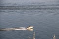 Motor boat on the Danube river, Galati