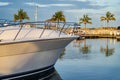 Motor Boat Docked at the tropical Marina with palm tree and blue sky. Travel and vacation concept Royalty Free Stock Photo