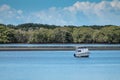 A motor boat moored in Pumicestone Passage, Queensland, Australia