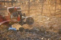 motor cultivator that digs the ground for growing vegetables