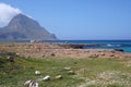 Motor Homes on the coast