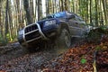 Motor racing in autumn forest. Offroad race on fall nature background. Sport utility vehicle or SUV overcomes obstacles