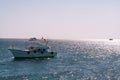 Motor yacht boat in red sea Royalty Free Stock Photo