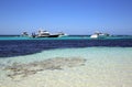 Rottnest Island