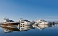 Motor yachts in marina Royalty Free Stock Photo