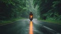 a motorbike driver navigating through the rain on a densely tree-lined road, the shimmering raindrops and lush Royalty Free Stock Photo