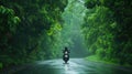 a motorbike driver navigating through the rain on a densely tree-lined road, the shimmering raindrops and lush