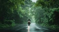 a motorbike driver navigating through the rain on a densely tree-lined road, the shimmering raindrops and lush