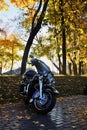 Motorbike stands on the road.