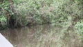 motorboat going down tropcial river in the amazon jungle