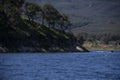 Motorboat riding around Cachuma Lake in Santa Barbara County