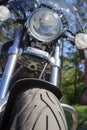 Motorcycle cruiser parked in front of the forest Royalty Free Stock Photo