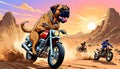 motorcycle dirt bike cycle bull mastiff bulldog dog desert race track Royalty Free Stock Photo