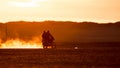 On a motorcycle in the Gobi desert. Dust from under the wheels. Wild Mongolian road