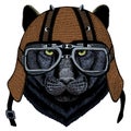 Black panther, puma. Head of animal. Wild cat portrait. Motorcycle helmet.
