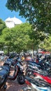 motorcycle parking lots with green trees