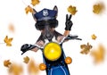 Motorcycle  police dog on autumn or fall Royalty Free Stock Photo