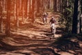 Motorcycle racers on enduro sports motorcycles are driving fast on a dusty road in the forest in an off-road race