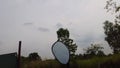 Motorcycle ride POV making a uturn and stopping at a beautiful tree on the street.